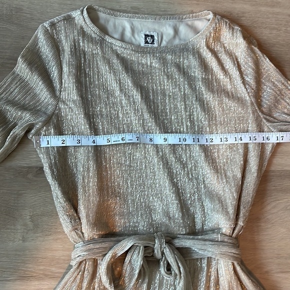 Anne Klein Bella Crinkled Gold Dress Size 12 - Picture 7 of 10